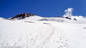 2016-07-26 · 11:36 · Grand Paradis Glacier du Grand Paradis · Alpes, Massif du Grand Paradis, Valsavarenche, IT · GPS 45°30'50.10'' N 7°15'32.72'' E · Altitude 3606m