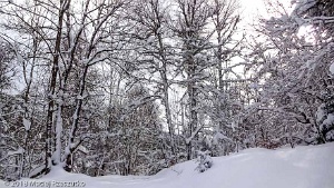 2018-02-10 · 12:17 · Col de l'Osque Montée au Col de l'Osque · Pyrénées, Pyrénées ariégeoises, Vallon d'Ascou, FR · GPS 42°43'3.46'' N 1°53'23.12'' E · Altitude 1342m
