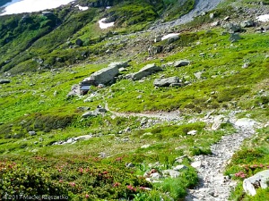 2017-06-16 · 08:51 · Mont Buet Refuge de la Pierre à Bérard · Alpes, Aiguilles Rouges, Vallon de Bérard, FR · GPS 46°0'14.32'' N 6°52'2.71'' E · Altitude 1931m