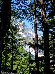 2017-06-19 · 10:17 · Signal Forbes Grands Bois · Alpes, Massif du Mont-Blanc, Vallée de Chamonix, FR · GPS 45°54'8.06'' N 6°52'32.28'' E · Altitude 1829m