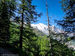 2017-06-19 · 10:20 · Signal Forbes Grands Bois · Alpes, Massif du Mont-Blanc, Vallée de Chamonix, FR · GPS 45°54'7.27'' N 6°52'34.14'' E · Altitude 1851m
