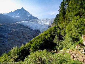 2017-06-21 · 08:36 · La Jonction Chalet du Glacier des Bossons · Alpes, Massif du Mont-Blanc, Vallée de Chamonix, FR · GPS 45°53'38.40'' N 6°50'58.10'' E · Altitude 1421m