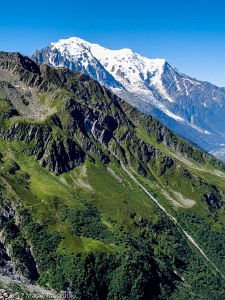 2017-07-06 · 10:23 · Arête du Génépi Sentier d’accès au Refuge Albert I · Alpes, Massif du Mont-Blanc, Vallée de Chamonix, FR · GPS 46°0'20.42'' N 6°58'8.60'' E · Altitude 2255m